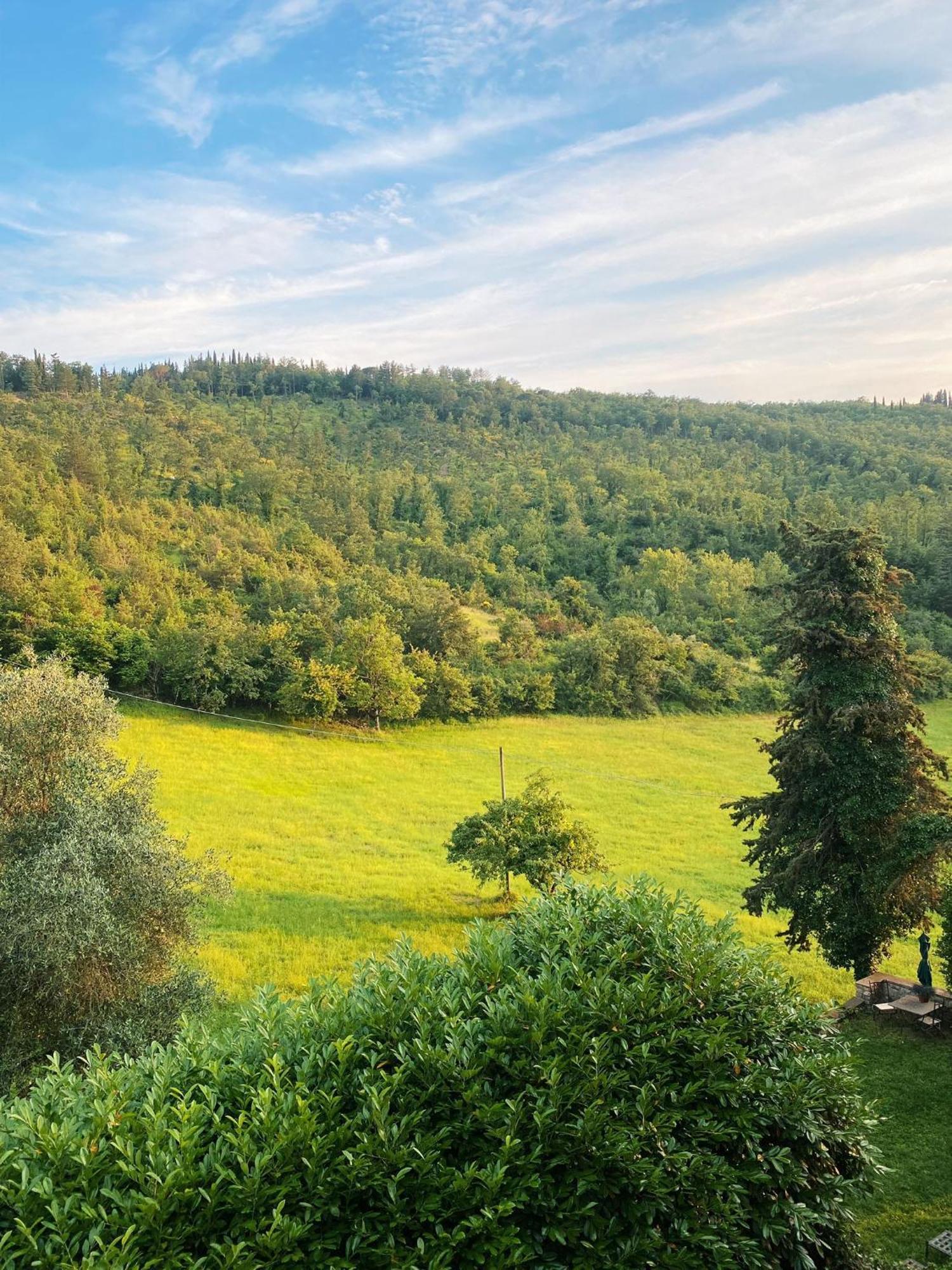 Appartamento Tenuta Di San Giusto in Salcio Gaiole in Chianti Esterno foto